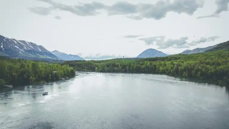 Half Day Fishing Trips on the Upper Kenai River